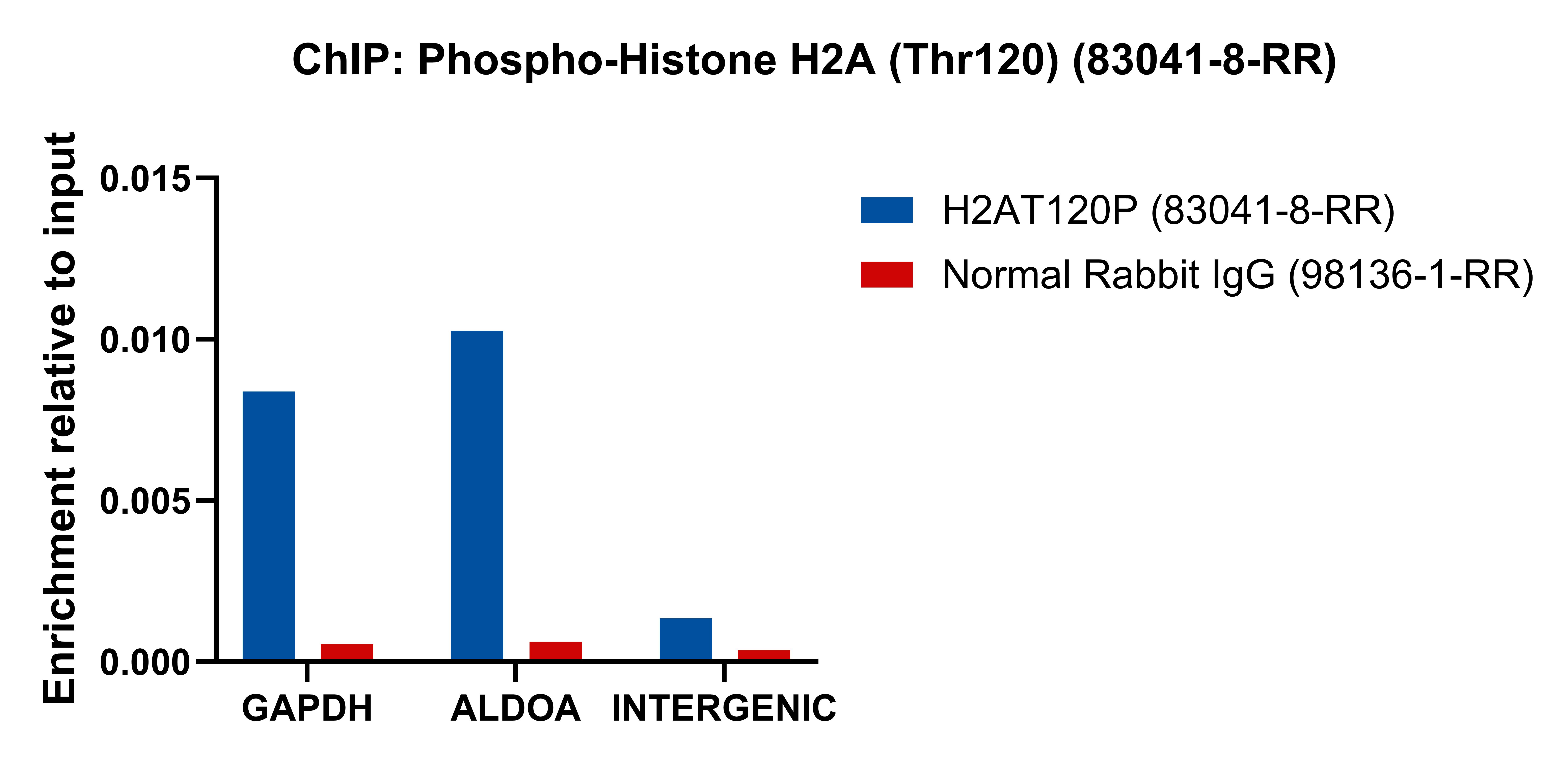 ChIP experiment of HeLa using 83041-8-RR