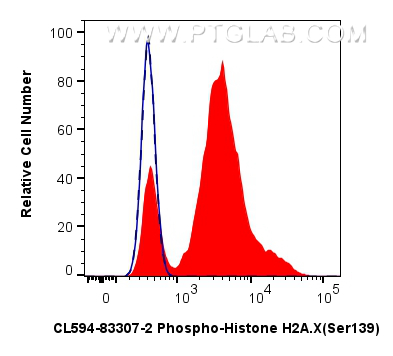 1x10^6 Jurkat cells untreated (dashed lines) or treated with Staurosporine  which intracellularly stained with 0.13 ug Coralite®594 Phospho-Histone H2a.X (Ser139) Recombinant Antibody (CL594-83307-2, Clone:5N19)(red),  or 0.13 ug CoraLite®594 Rabbit IgG Isotype Control RecAb (<a class='green' href='/productredirect?CatalogNo=CL594-98136' target='_blank'>CL594-98136</a>, Clone: 240953C9) (blue). Cells were fixed and permeabilized with Flow Cytometry Phosphorylated Protein Fixation/Permeabilization Kit (<a class='green' href='/productredirect?CatalogNo=PF00026' target='_blank'>PF00026</a>). FC experiment of Jurkat using CL594-83307-2