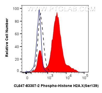 1x10^6 Jurkat cells untreated (dashed lines) or treated with Staurosporine  which intracellularly stained with 0.13 ug Coralite® Plus 647 Phospho-Histone H2a.X (Ser139) Recombinant Antibody (CL647-83307-2, Clone:5N19)(red),  or 0.13 ug CoraLite® Plus 647 Rabbit IgG Isotype Control RecAb (<a class='green' href='/productredirect?CatalogNo=CL647-98136' target='_blank'>CL647-98136</a>, Clone: 240953C9) (blue). Cells were fixed and permeabilized with Flow Cytometry Phosphorylated Protein Fixation/Permeabilization Kit (<a class='green' href='/productredirect?CatalogNo=PF00026' target='_blank'>PF00026</a>). FC experiment of Jurkat using CL647-83307-2