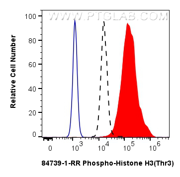FC experiment of HeLa using 84739-1-RR (same clone as 84739-1-PBS)