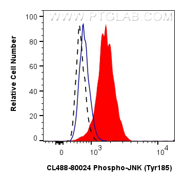 FC experiment of HEK-293 using CL488-80024