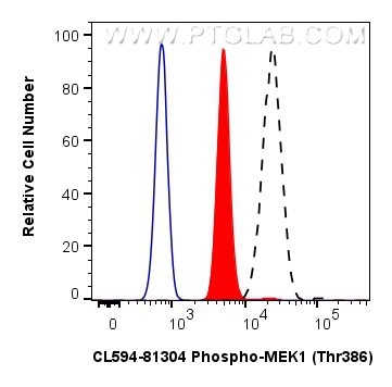 FC experiment of HeLa using CL594-81304