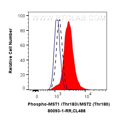 FC experiment of HeLa using 80093-1-RR (same clone as 80093-1-PBS)