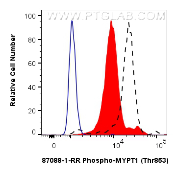 FC experiment of NIH/3T3 using 87088-1-RR (same clone as 87088-1-PBS) FC experiment of NIH/3T3 using 87088-1-RR (same clone as 87088-1-PBS)