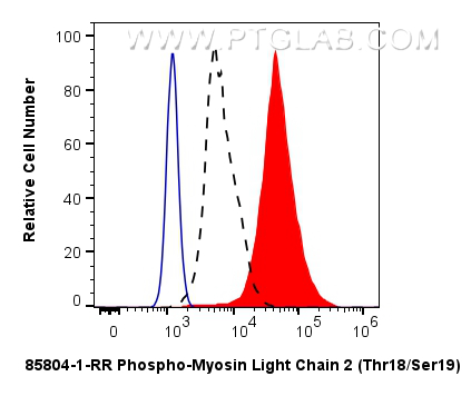 FC experiment of NIH/3T3 using 85804-1-RR