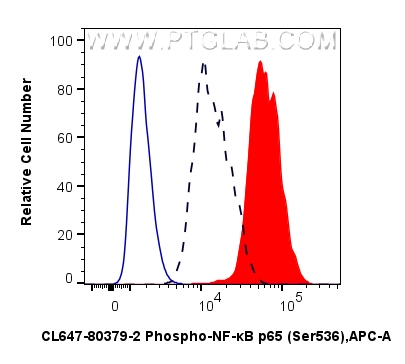FC experiment of NIH/3T3 using CL647-80379-2 FC experiment of NIH/3T3 using CL647-80379-2