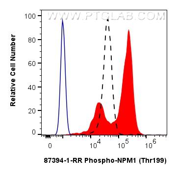 FC experiment of Jurkat using 87394-1-RR (same clone as 87394-1-PBS) FC experiment of Jurkat using 87394-1-RR (same clone as 87394-1-PBS)