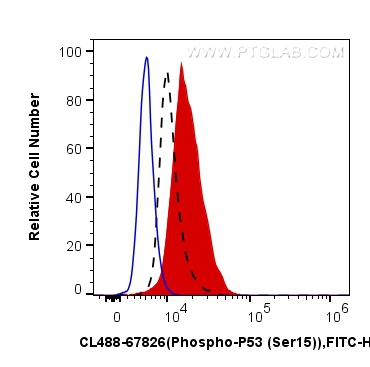 Phospho-P53 (Ser15)