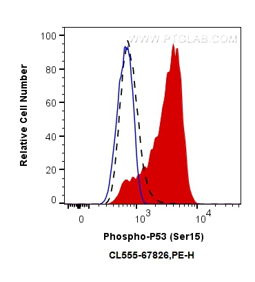 Phospho-P53 (Ser15)