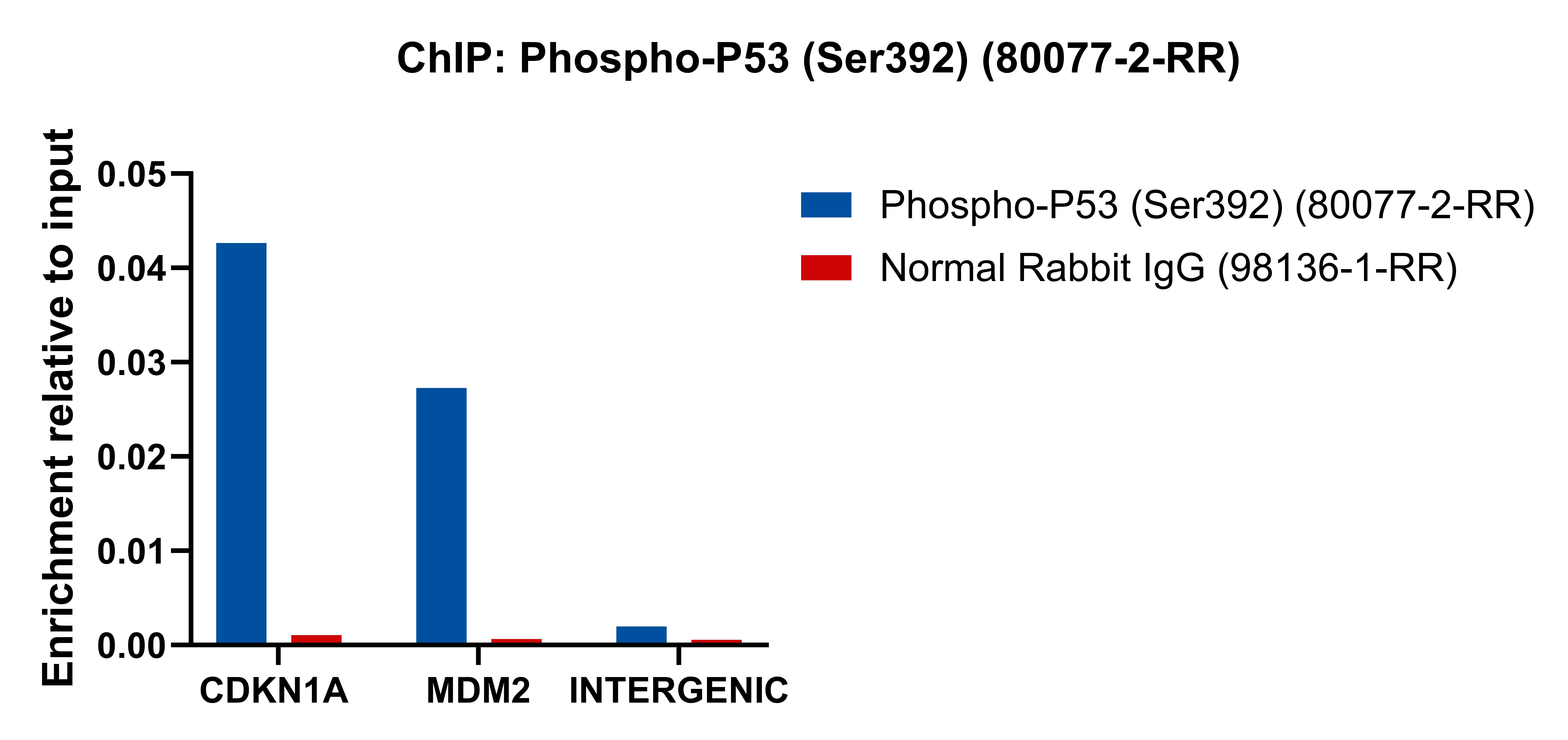 ChIP experiment of HCT 116 using 80077-2-RR