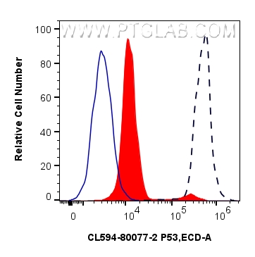1X10^6 HeLa cells untreated (dashed lines) or treated with λ phosphatase which intracellularly stained with 0.25 ug Coralite®594 Phospho-P53 (Ser392) Recombinant Antibody (CL594-80077-2, Clone:241575F6)(red), or 0.25 ug CoraLite®594 Rabbit IgG Isotype Control RecAb (<a class='green' href='/productredirect?CatalogNo=CL594-98136' target='_blank'>CL594-98136</a>, Clone: 240953C9) (blue). Cells were fixed and permeabilized with Flow Cytometry Phosphorylated Protein Fixation/Permeabilization Kit (<a class='green' href='/productredirect?CatalogNo=PF00026' target='_blank'>PF00026</a>). FC experiment of HeLa using CL594-80077-2