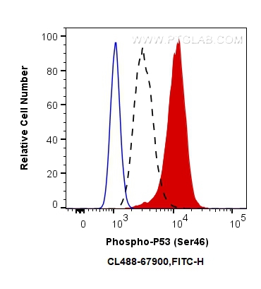 FC experiment of HT-29 using CL488-67900