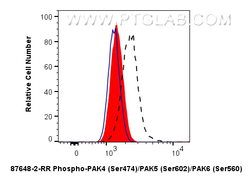 FC experiment of HeLa using 87648-2-RR (same clone as 87648-2-PBS) FC experiment of HeLa using 87648-2-RR (same clone as 87648-2-PBS)