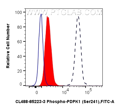 FC experiment of NIH/3T3 using CL488-85223-3
