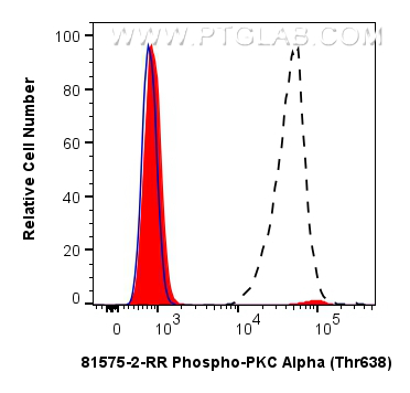 FC experiment of THP-1 using 81575-2-RR