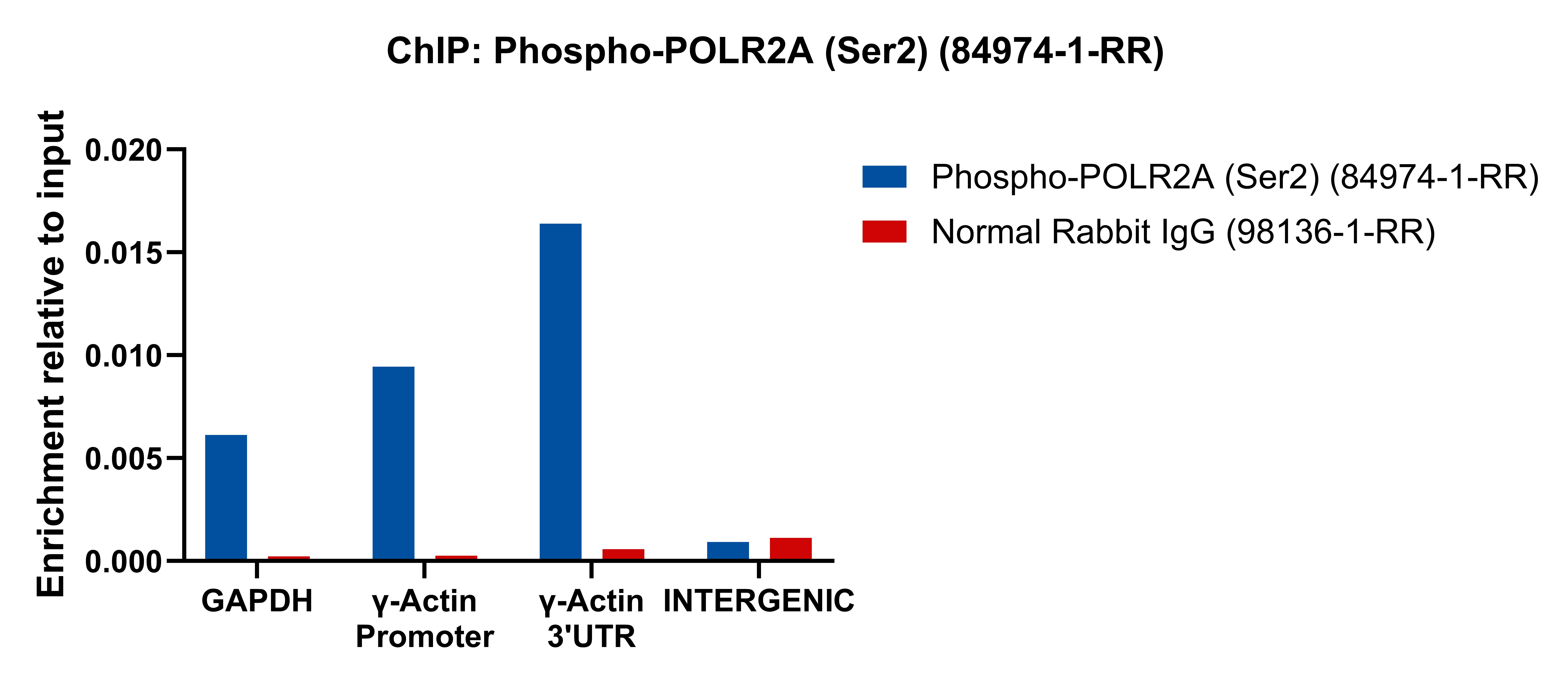 ChIP experiment of HeLa using 84974-1-RR