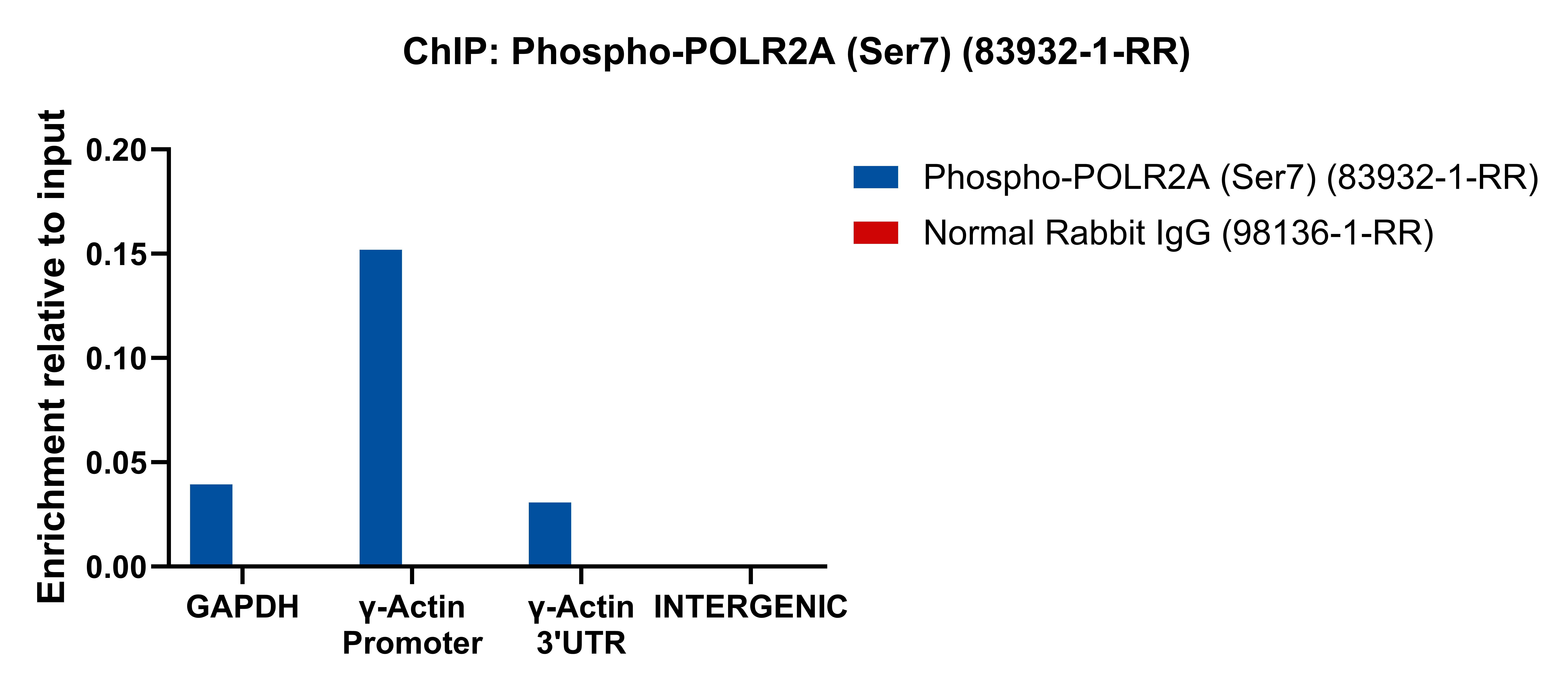Chromatin was prepared from HeLa cells. Cells were fixed with formaldehyde for 10 minutes. The ChIP was performed with 20 µg of cross-linked chromatin, 5 µg of Phospho-POLR2A (Ser7) (83932-1-RR) or 5 ug of Normal Rabbit IgG (<a class='green' href='/productredirect?CatalogNo=98136-1-RR' target='_blank'>98136-1-RR</a>), and 20 µl of Protein A Magarose Beads. The immunoprecipitated DNA was quantified by real-time PCR. ChIP experiment of HeLa using 83932-1-RR