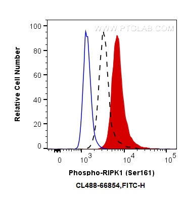 Phospho-RIPK1 (Ser161) 