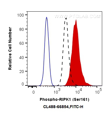 FC experiment of HEK-293T using CL488-66854