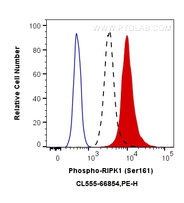 FC experiment of HEK-293T using CL555-66854