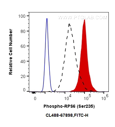 FC experiment of HeLa using CL488-67898