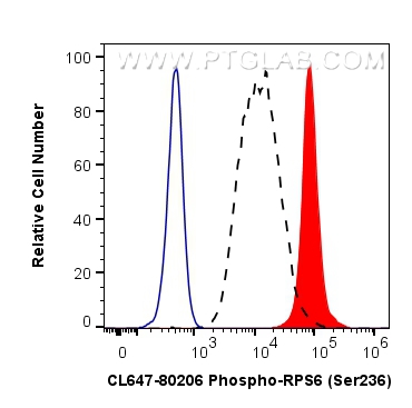 FC experiment of HEK-293 using CL647-80206