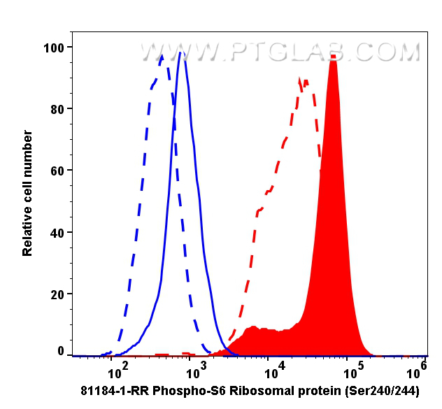FC experiment of HeLa using 81184-1-RR