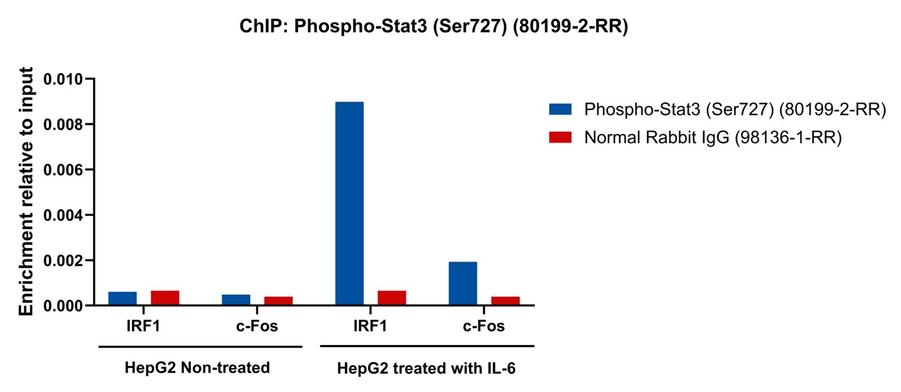 ChIP experiment of HepG2 using 80199-2-RR