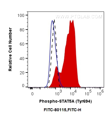 Phospho-STAT5A (Tyr694)/STAT5B (Tyr699)