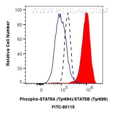 FC experiment of TF-1 using FITC-80115