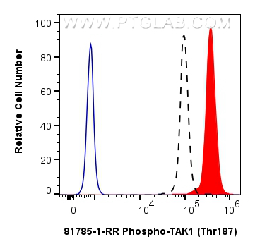 FC experiment of HEK-293 using 81785-1-RR