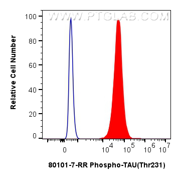 1x10^6 SH-SY5Y cells were intracellularly stained with 0.06 ug Phospho-TAU (Thr231) Recombinant antibody (<a class='green' href='/productredirect?CatalogNo=80101-7-RR' target='_blank'>80101-7-RR</a>, Clone:240632B1) and CoraLite®488-Conjugated Goat Anti-Rabbit IgG(H+L) (<a class='green' href='/productredirect?CatalogNo=SA00013-2' target='_blank'>SA00013-2</a>)(red),  or 0.06 ug Rabbit IgG Isotype Control Recombinant Antibody (<a class='green' href='/productredirect?CatalogNo=98136-2-RR' target='_blank'>98136-2-RR</a>, Clone: 240953A11) (blue). Cells were fixed with 4% PFA and permeabilized with 90% MeOH. This data was developed using the same antibody clone with 80101-7-PBS in a different storage buffer formulation. FC experiment of SH-SY5Y using 80101-7-RR (same clone as 80101-7-PBS)