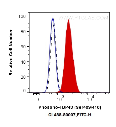 Phospho-TDP43 (Ser409/410)