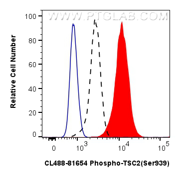 1X10^6 HEK-293 cells untreated (dashed lines) or treated with Calyculin A which intracellularly stained with 0.25 ug Coralite® Plus 488 Phospho-Tsc2 (Ser939) Recombinant Antibody (CL488-81654, Clone:2B18)(red), or 0.25 ug CoraLite® Plus 488 Rabbit IgG Isotype Control RecAb (<a class='green' href='/productredirect?CatalogNo=CL488-98136' target='_blank'>CL488-98136</a>, Clone: 240953C9) (blue). Cells were fixed with 4% PFA and permeabilized with 90% MeOH. FC experiment of HEK-293 using CL488-81654