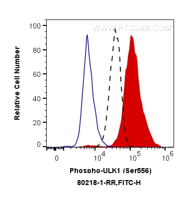 FC experiment of PC-3 using 80218-1-RR