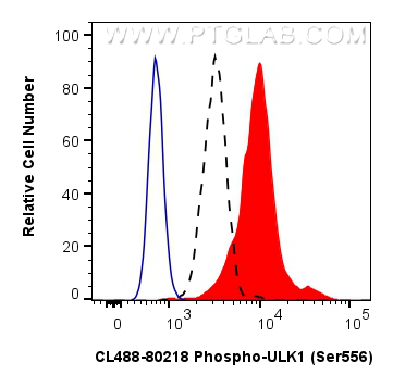 FC experiment of HeLa using CL488-80218