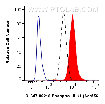 FC experiment of HeLa using CL647-80218