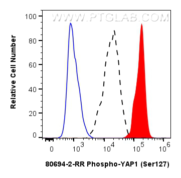 FC experiment of HepG2 using 80694-2-RR (same clone as 80694-2-PBS)