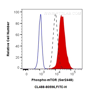FC experiment of HeLa using CL488-80596