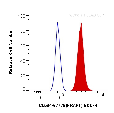 Phospho-mTOR (Ser2448)