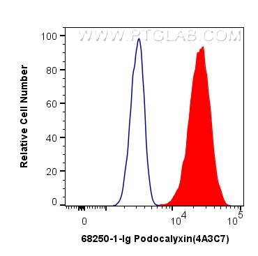 FC experiment of HeLa using 68250-1-Ig (same clone as 68250-1-PBS)