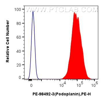 FC experiment of C2C12 using PE-98492-3 FC experiment of C2C12 using PE-98492-3