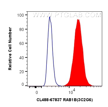 FC experiment of MCF-7 using CL488-67837