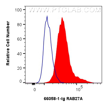 FC experiment of HeLa using 66058-1-Ig FC experiment of HeLa using 66058-1-Ig