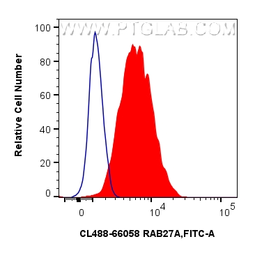 FC experiment of HeLa using CL488-66058