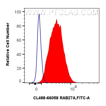 FC experiment of Jurkat using CL488-66058