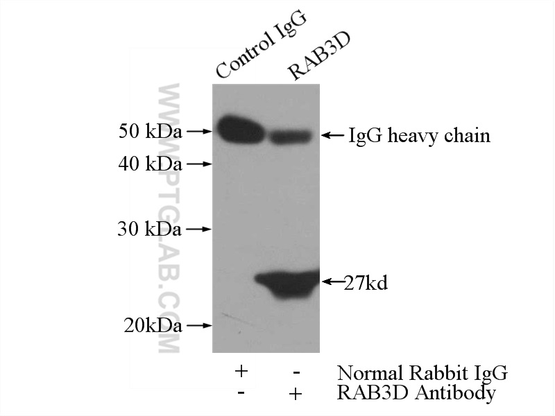 IP experiment of SW 1990 using 12320-1-AP