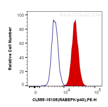 FC experiment of HeLa using CL555-15105