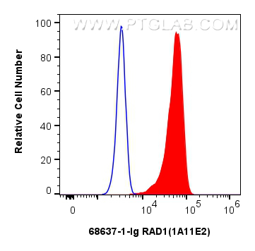 FC experiment of HeLa using 68637-1-Ig