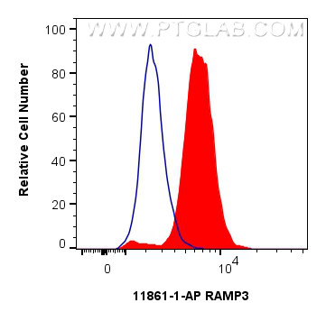 FC experiment of Jurkat using 11861-1-AP